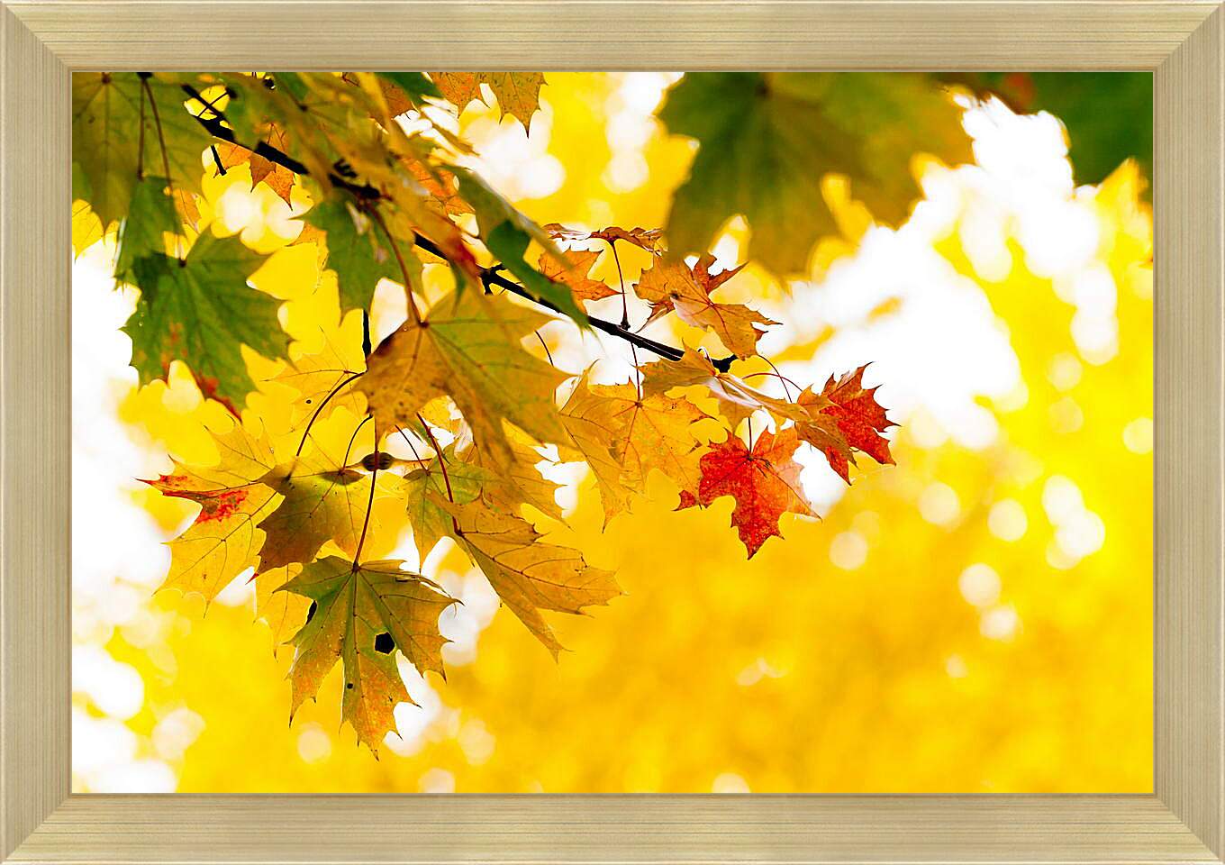Картина в раме - Осенние листья
