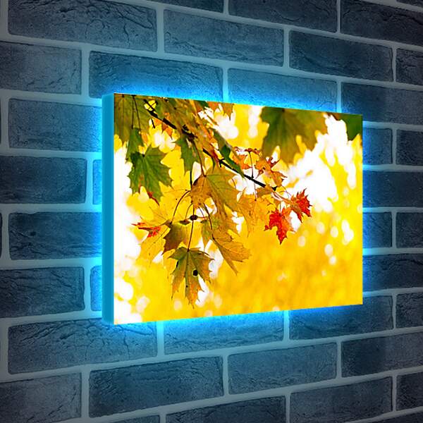 Лайтбокс световая панель - Осенние листья
