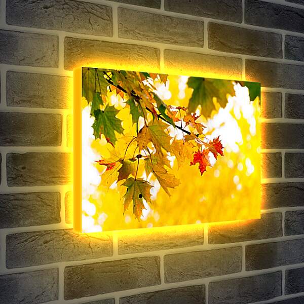Лайтбокс световая панель - Осенние листья
