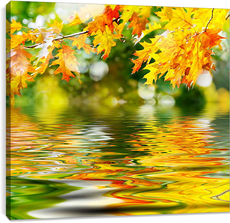 Постер и плакат - Осенние листья отражаются в воде
