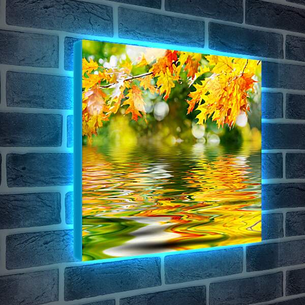 Лайтбокс световая панель - Осенние листья отражаются в воде

