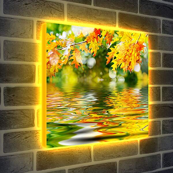 Лайтбокс световая панель - Осенние листья отражаются в воде
