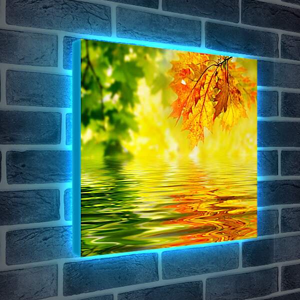 Лайтбокс световая панель - Вода и осень
