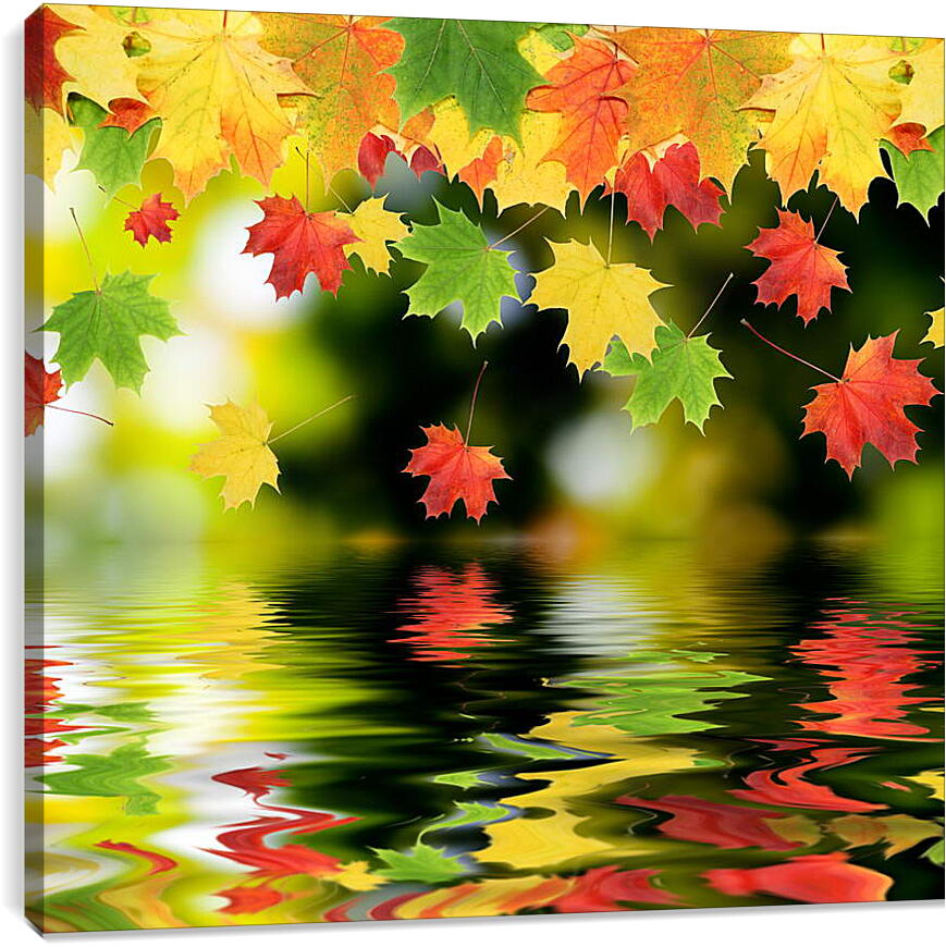 Постер и плакат - Красочные осенние листья
