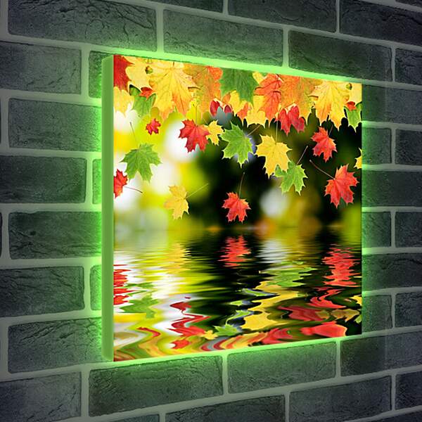 Лайтбокс световая панель - Красочные осенние листья
