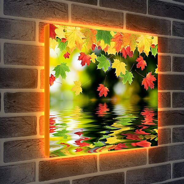 Лайтбокс световая панель - Красочные осенние листья
