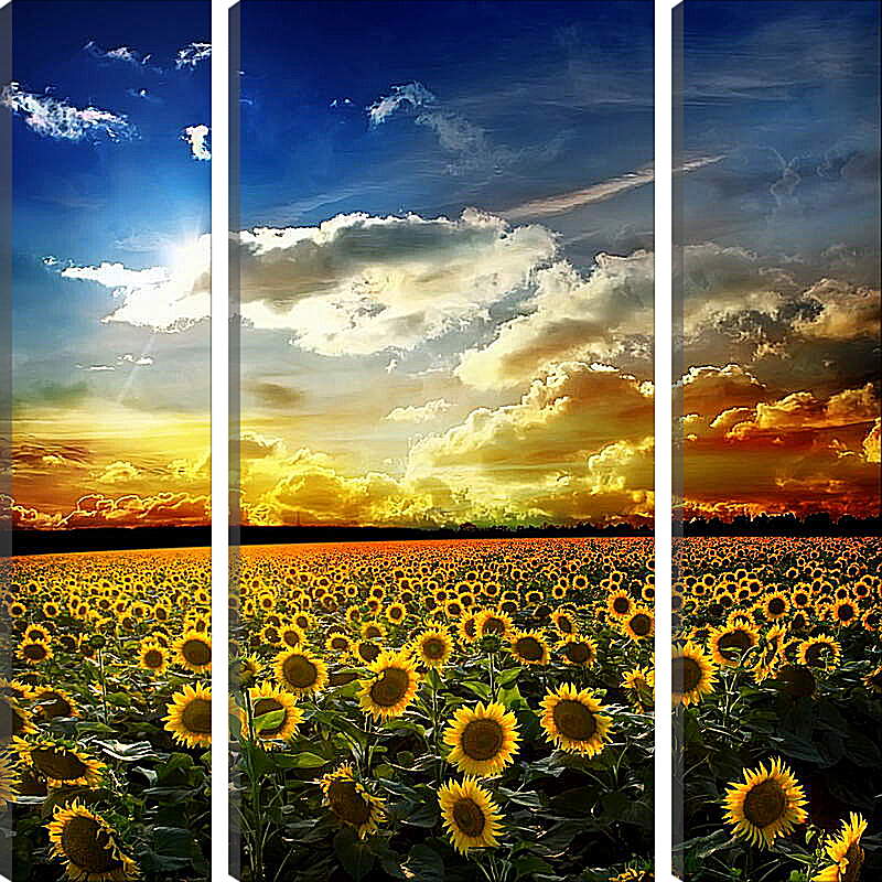Модульная картина - Солнечное небо и поле подсолнухов
