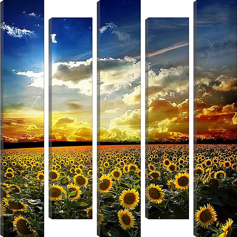 Модульная картина - Солнечное небо и поле подсолнухов
