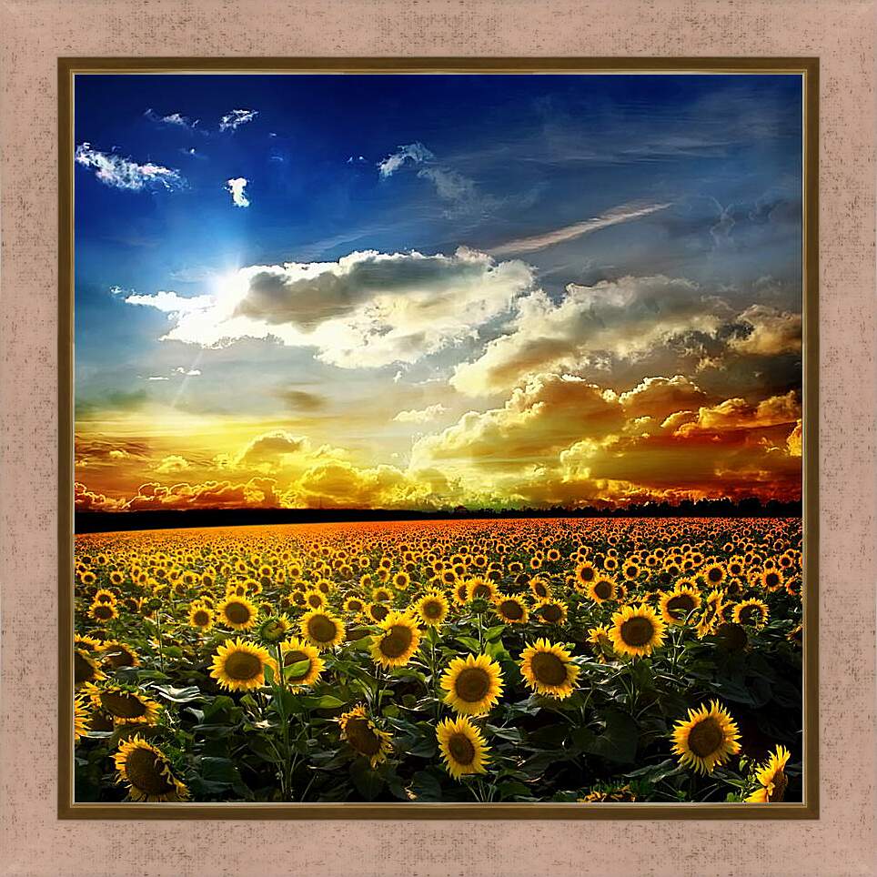 Картина в раме - Солнечное небо и поле подсолнухов
