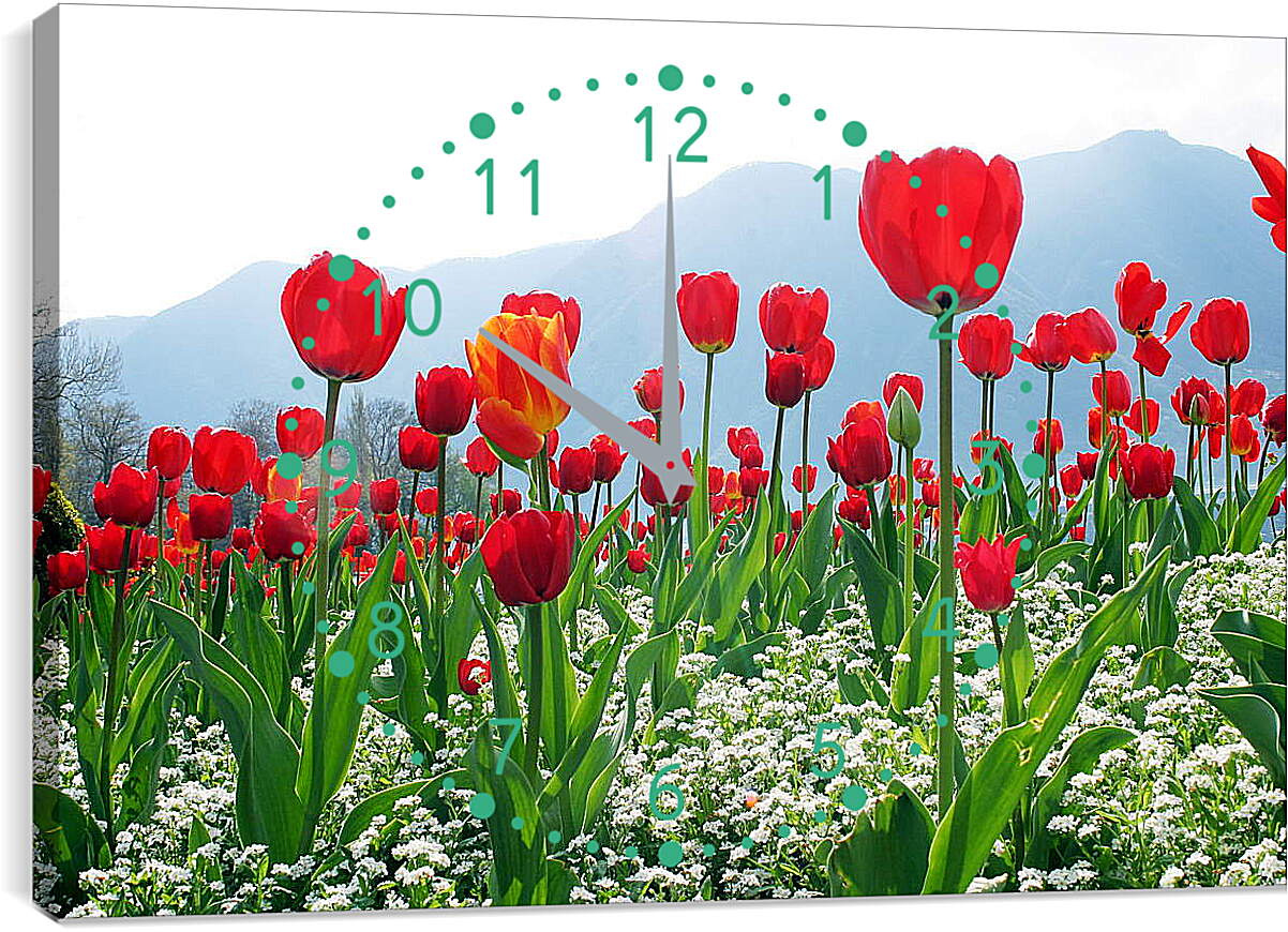 Часы картина - Поле тюльпанов
