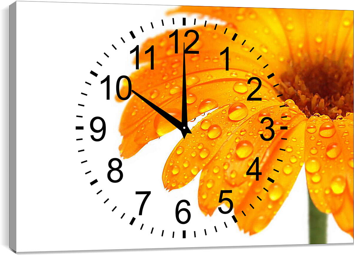 Часы картина - Оранжевый цветок в каплях росы
