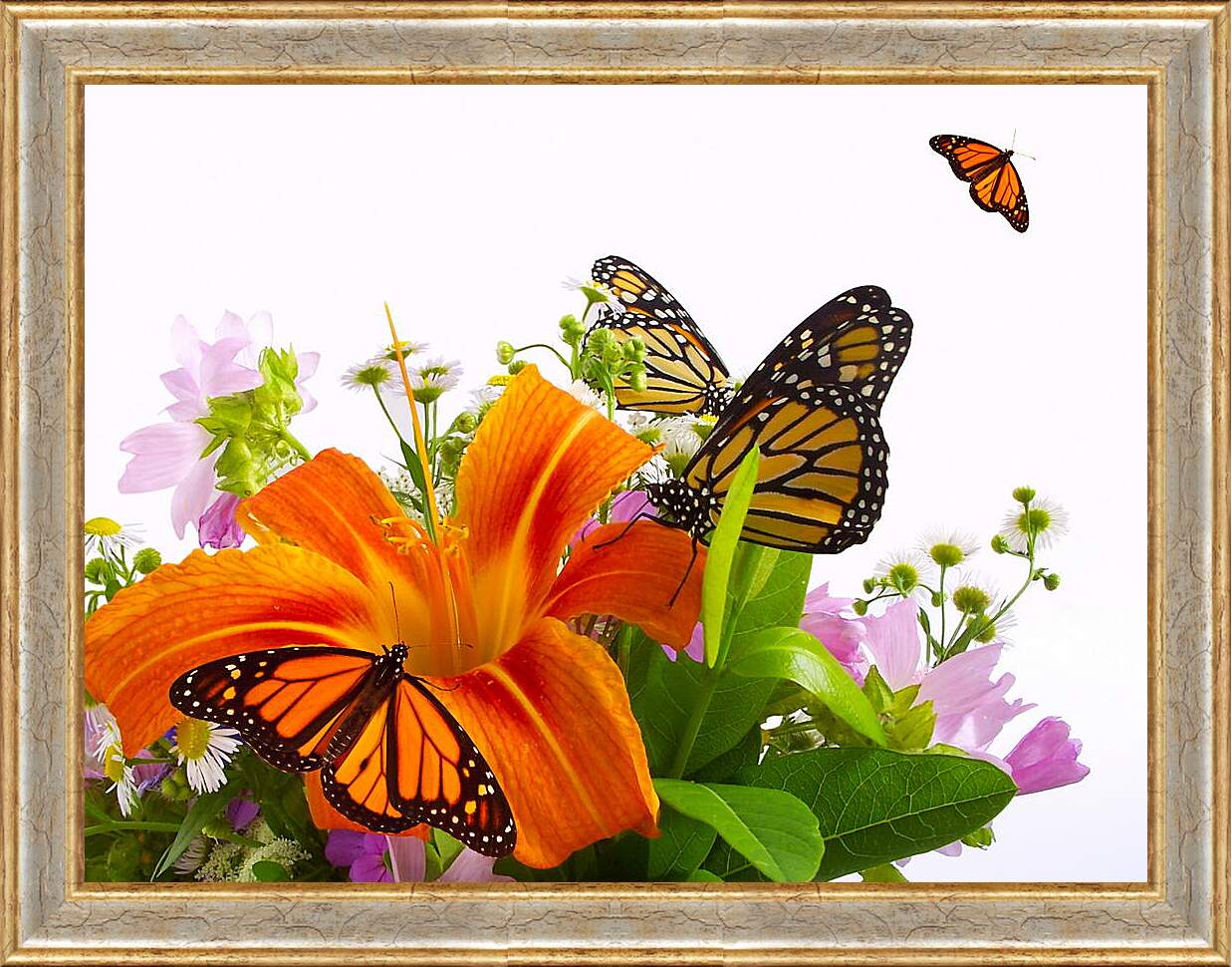 Картина в раме - Бабочки на цветке
