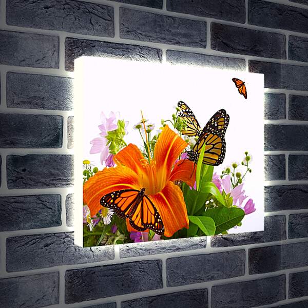 Лайтбокс световая панель - Бабочки на цветке
