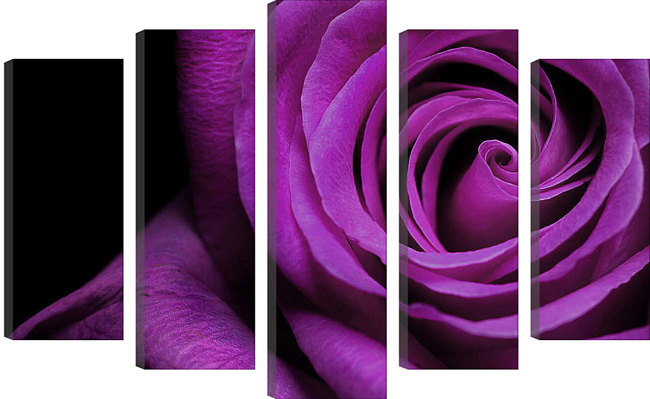 Модульная картина - Фиолетовая роза
