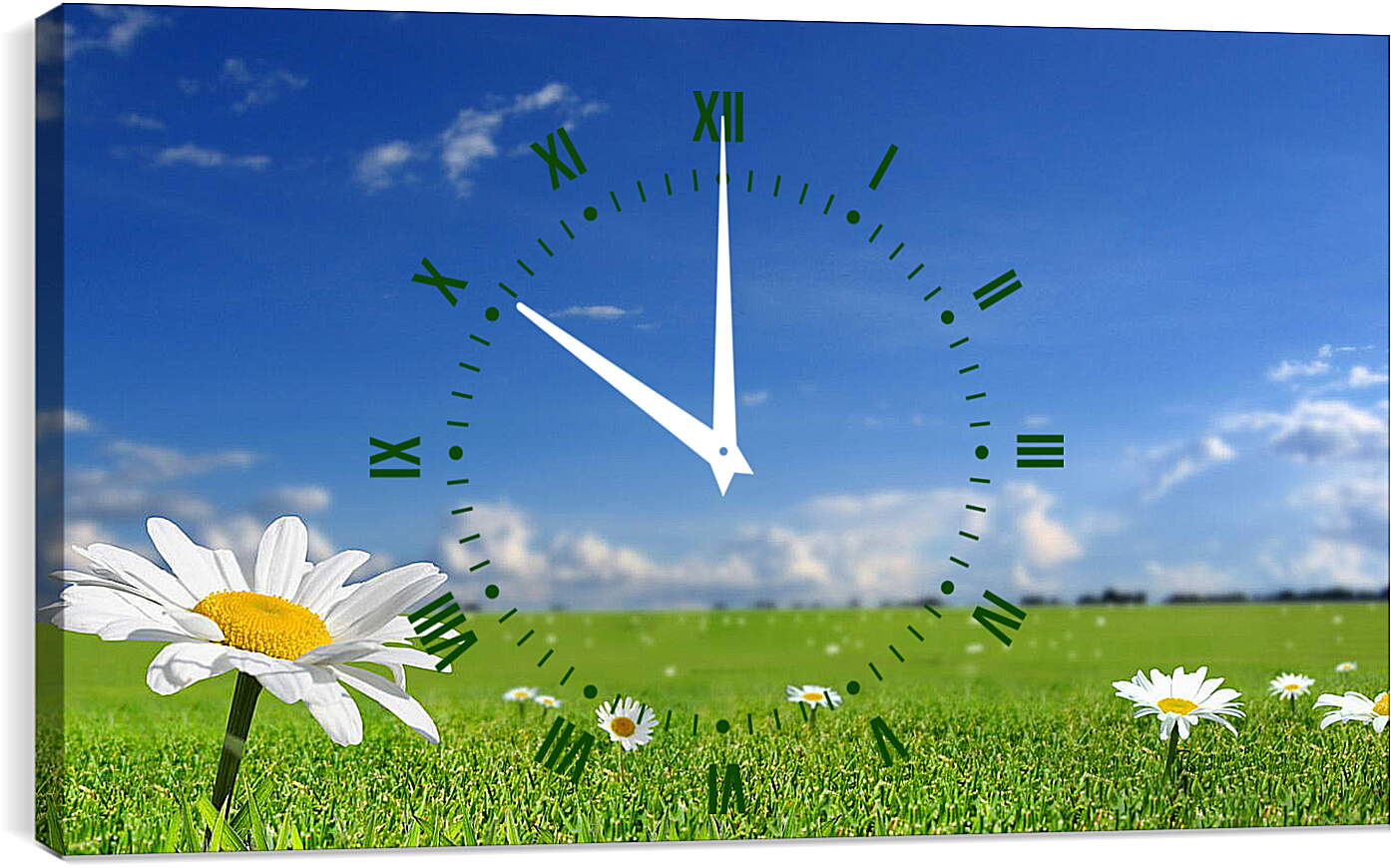 Часы картина - Ромашки на поле

