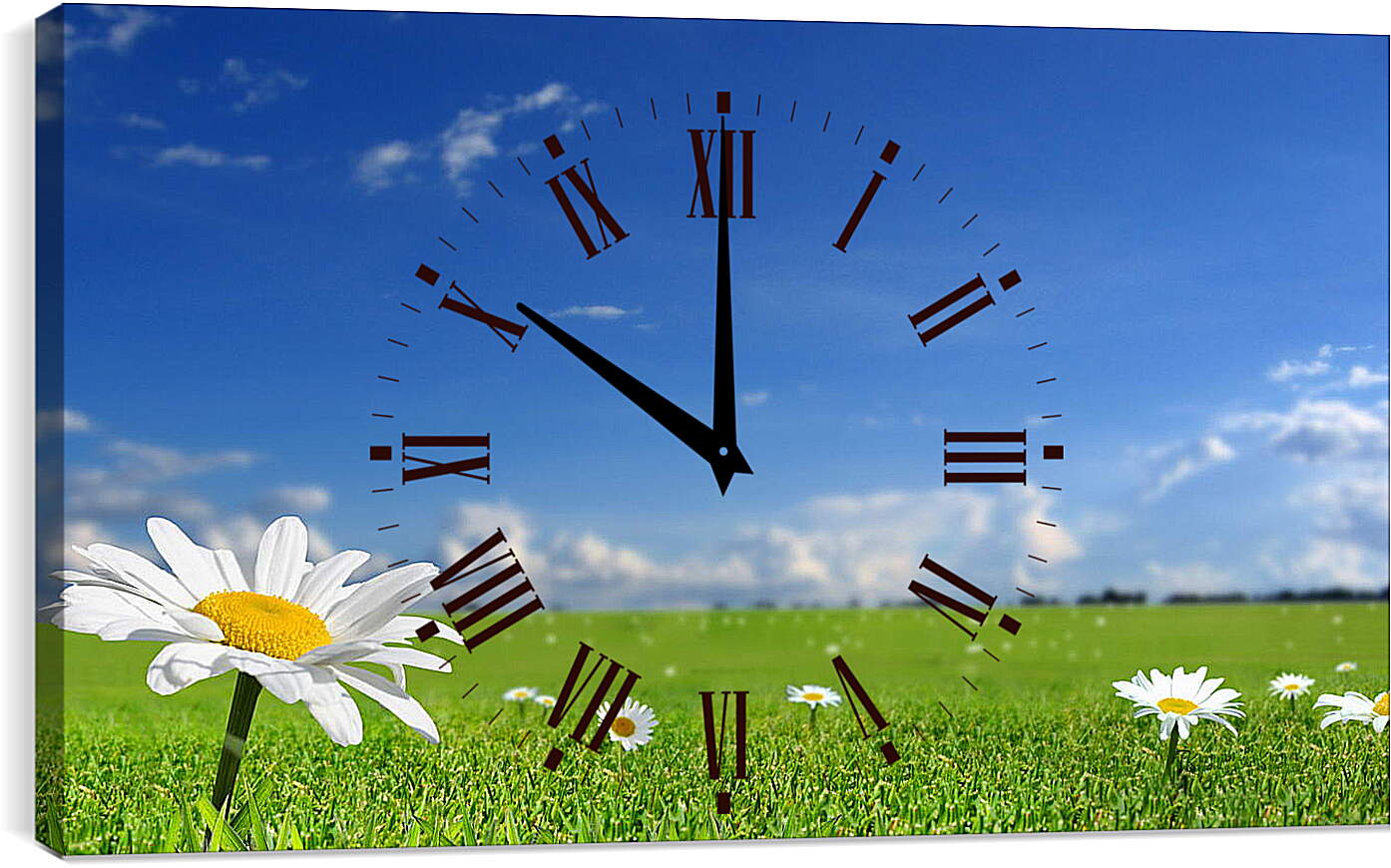 Часы картина - Ромашки на поле
