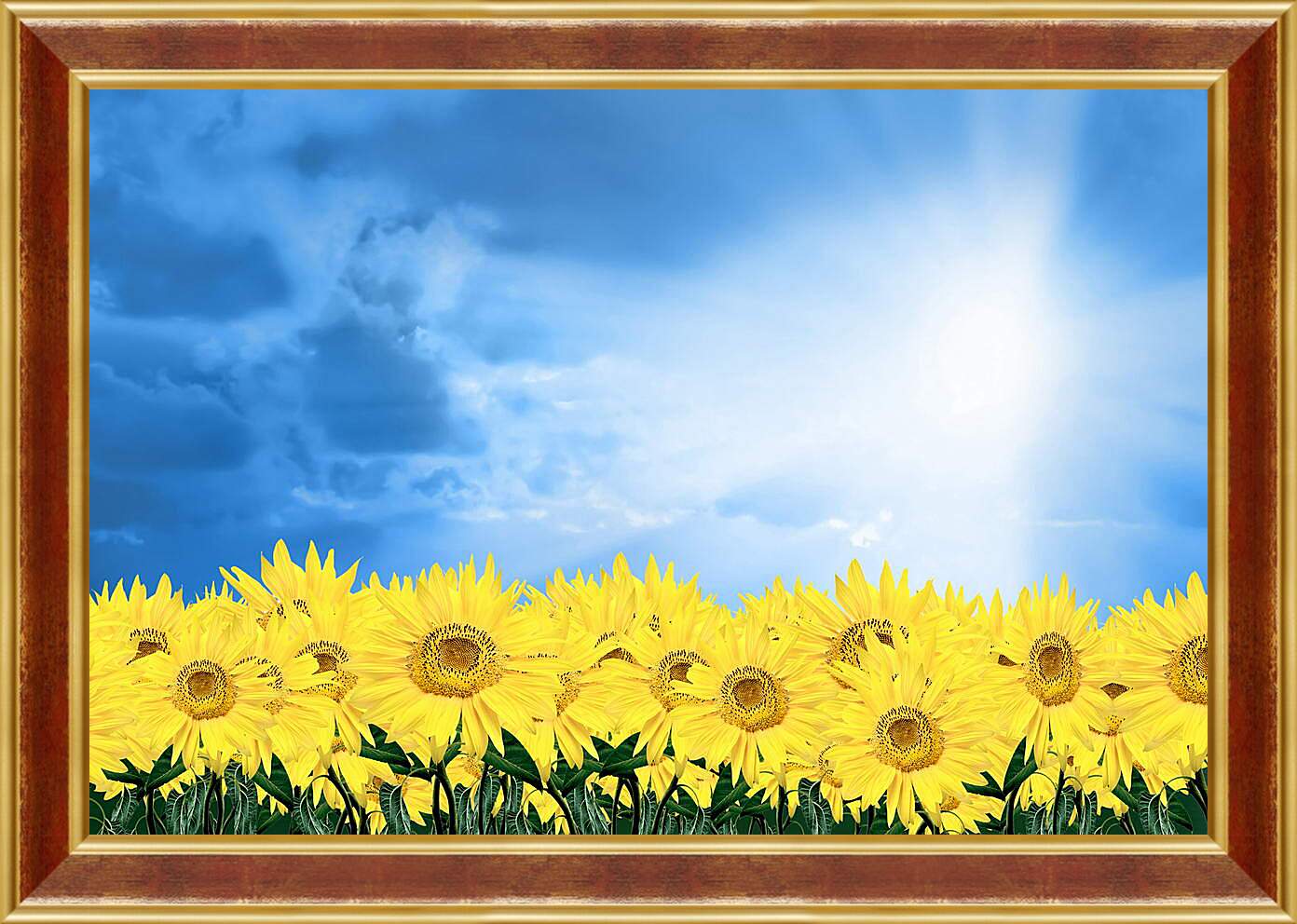 Картина в раме - Подсолнухи под солнцем
