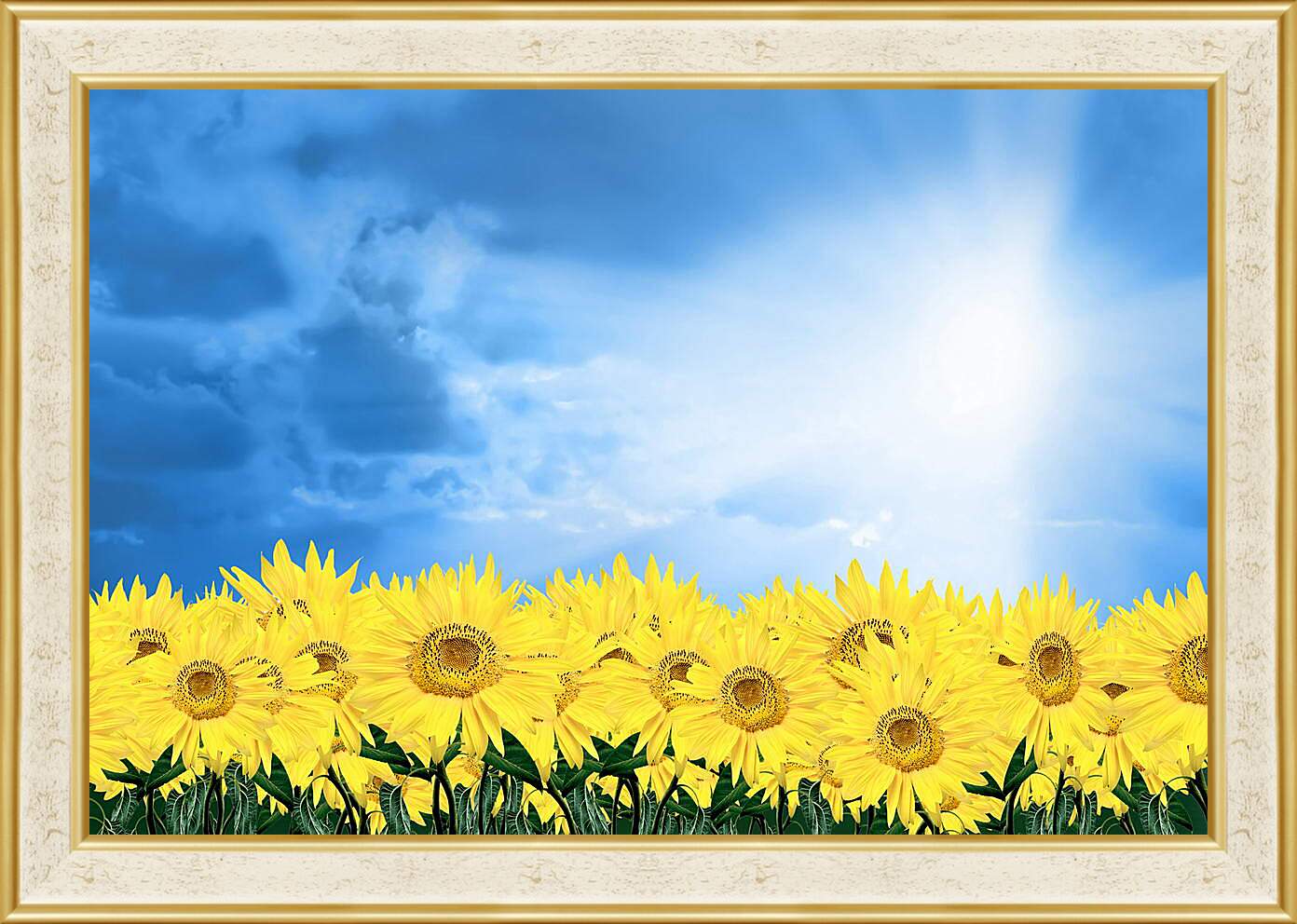 Картина в раме - Подсолнухи под солнцем
