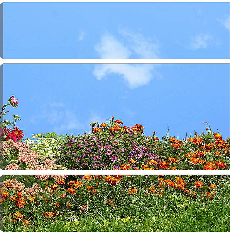 Модульная картина - Разнообразие цветов на фоне неба
