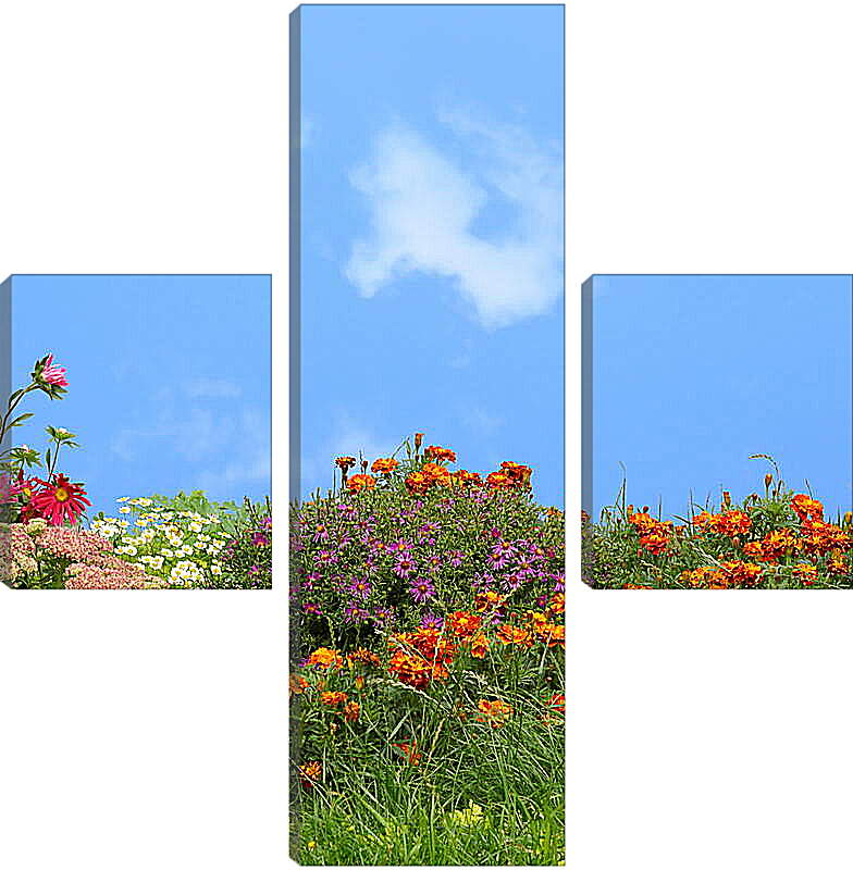 Модульная картина - Разнообразие цветов на фоне неба

