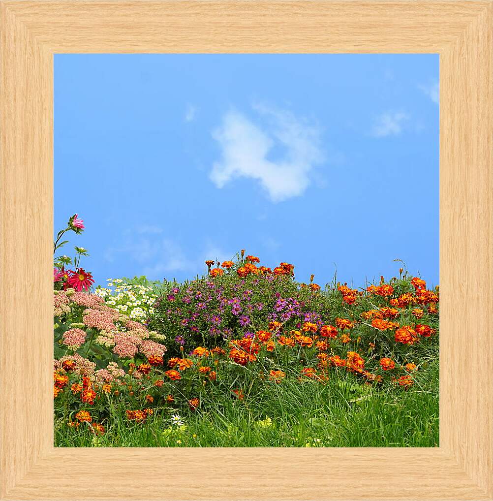 Картина в раме - Разнообразие цветов на фоне неба
