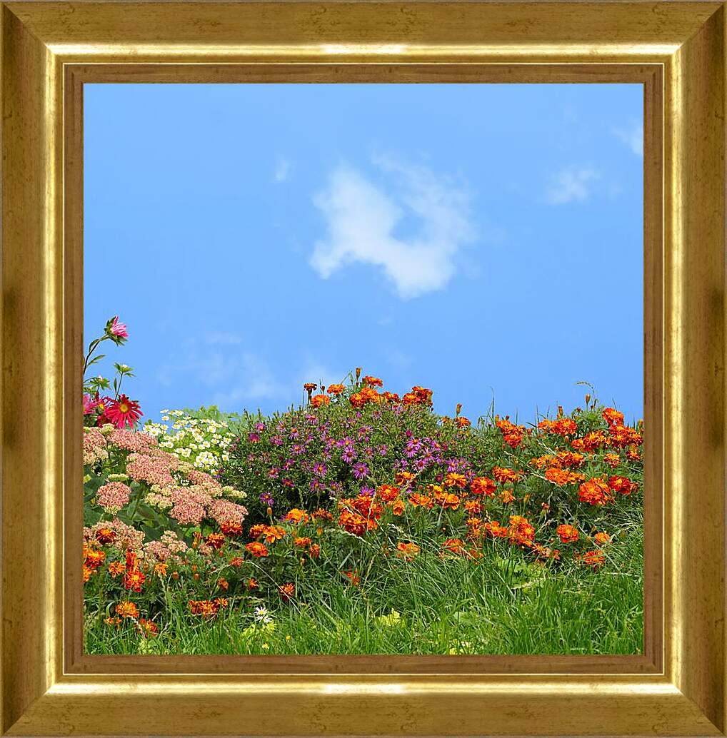 Картина в раме - Разнообразие цветов на фоне неба
