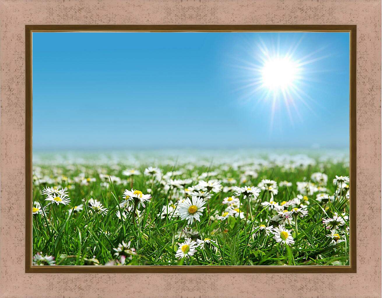 Картина в раме - Яркое солнце и ромашки
