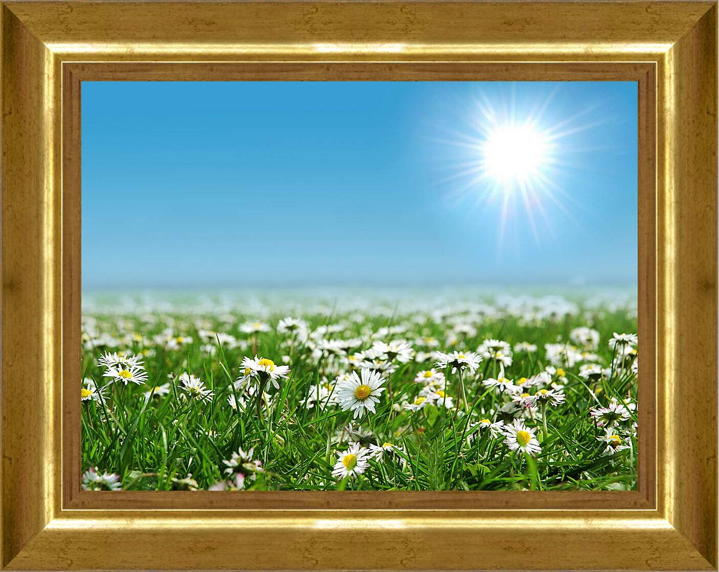 Картина в раме - Яркое солнце и ромашки
