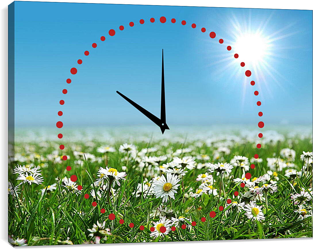 Часы картина - Яркое солнце и ромашки
