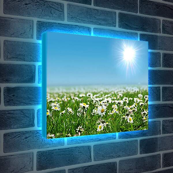 Лайтбокс световая панель - Яркое солнце и ромашки
