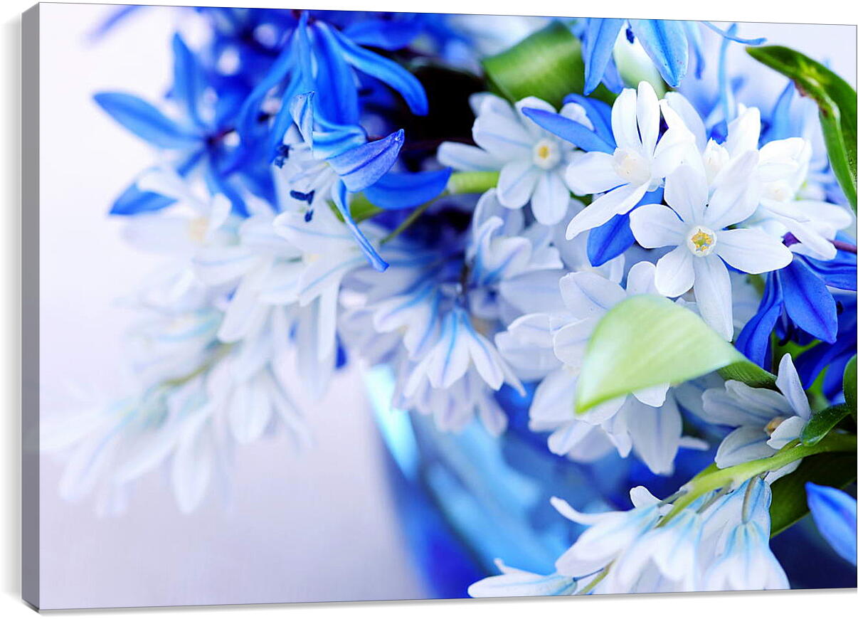 Постер и плакат - Сине-белые цветы
