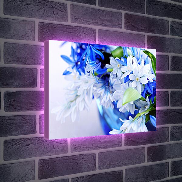 Лайтбокс световая панель - Сине-белые цветы