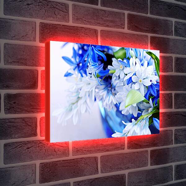 Лайтбокс световая панель - Сине-белые цветы