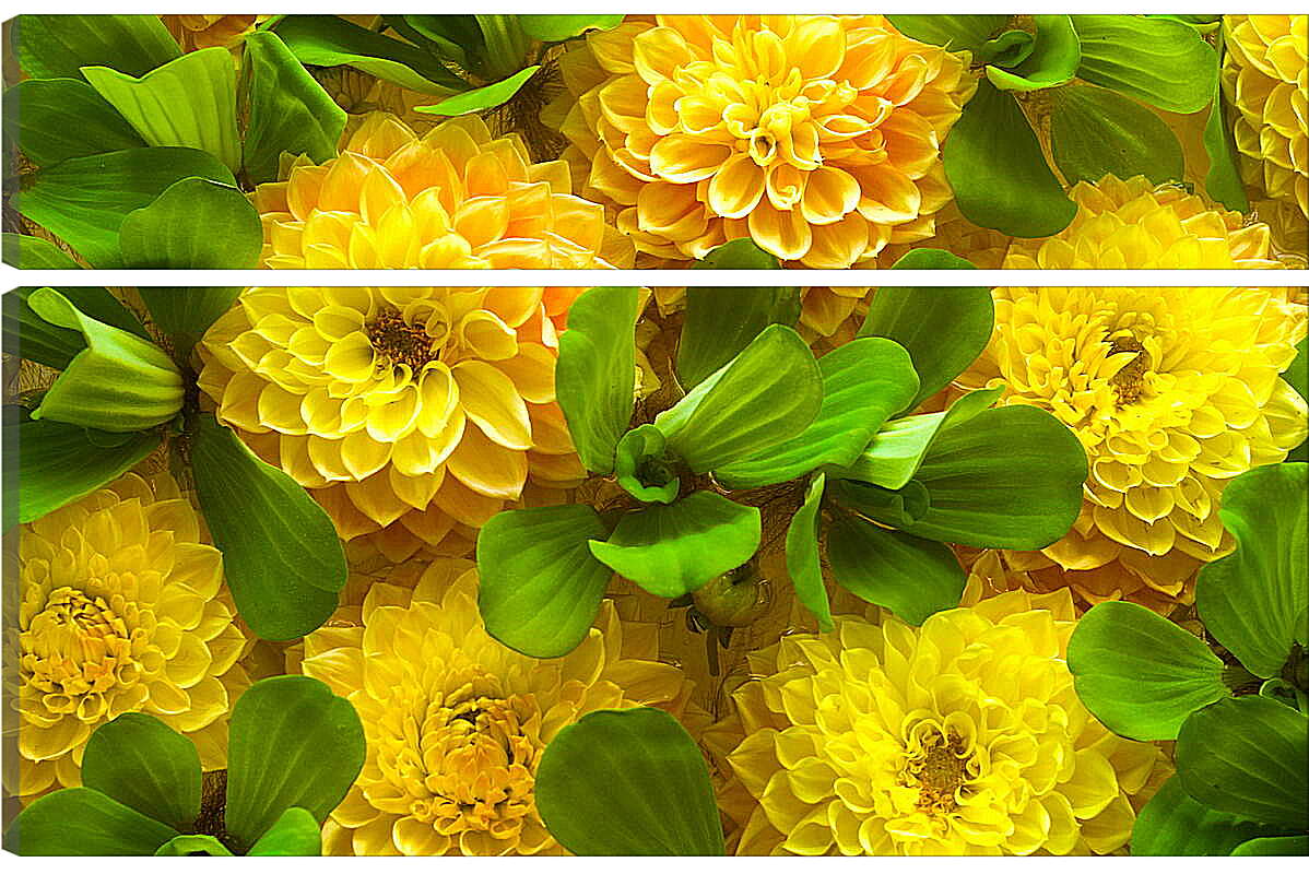 Модульная картина - Желтые цветочки
