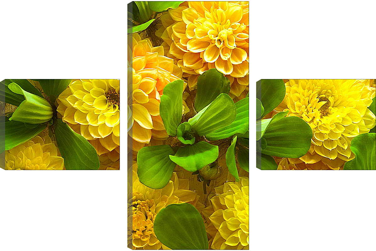 Модульная картина - Желтые цветочки
