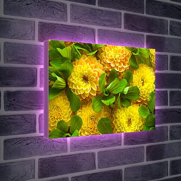 Лайтбокс световая панель - Желтые цветочки
