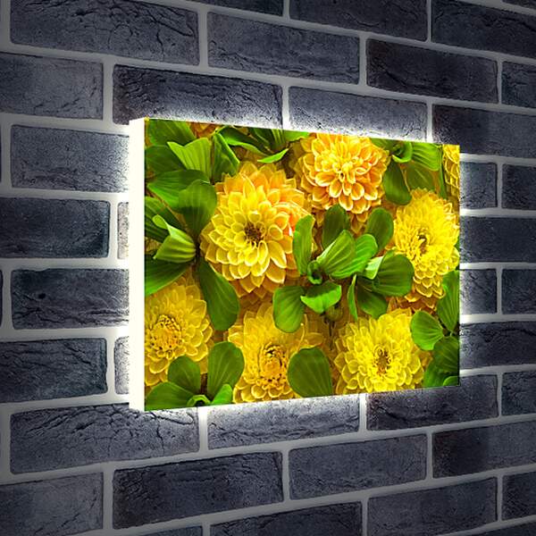 Лайтбокс световая панель - Желтые цветочки
