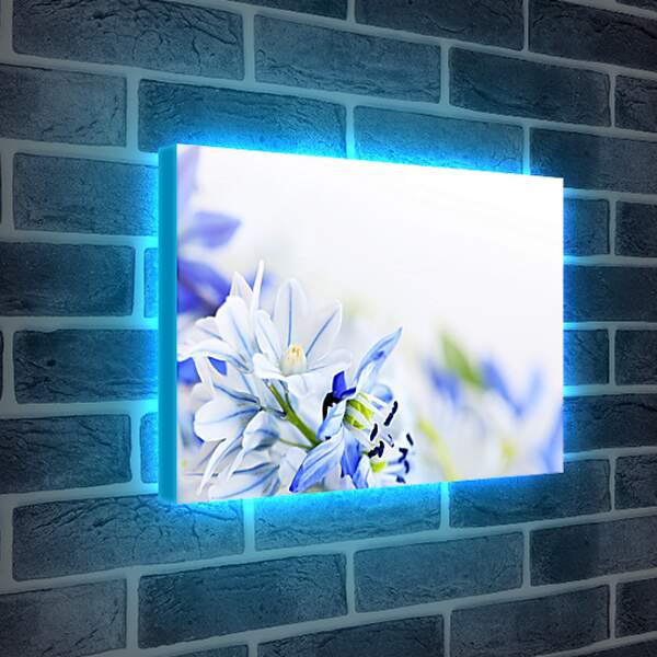 Лайтбокс световая панель - Нежные цветы
