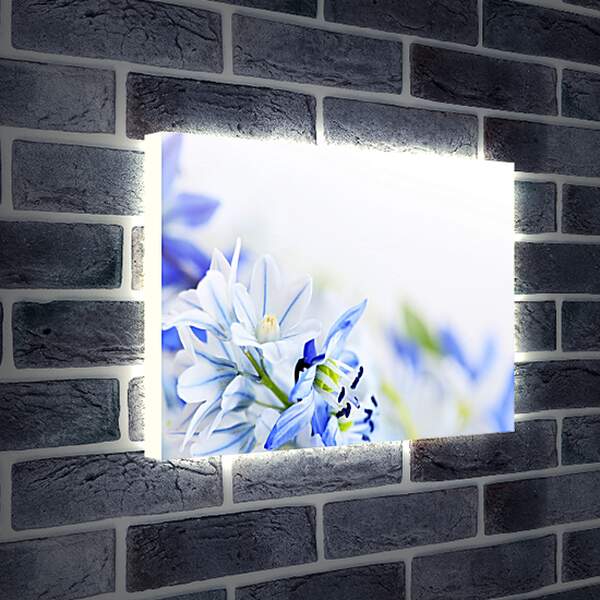 Лайтбокс световая панель - Нежные цветы
