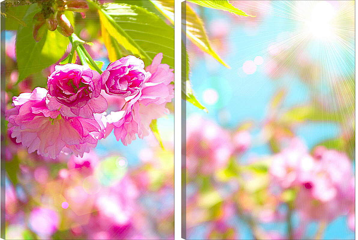 Модульная картина - Розовые цветы и солнце
