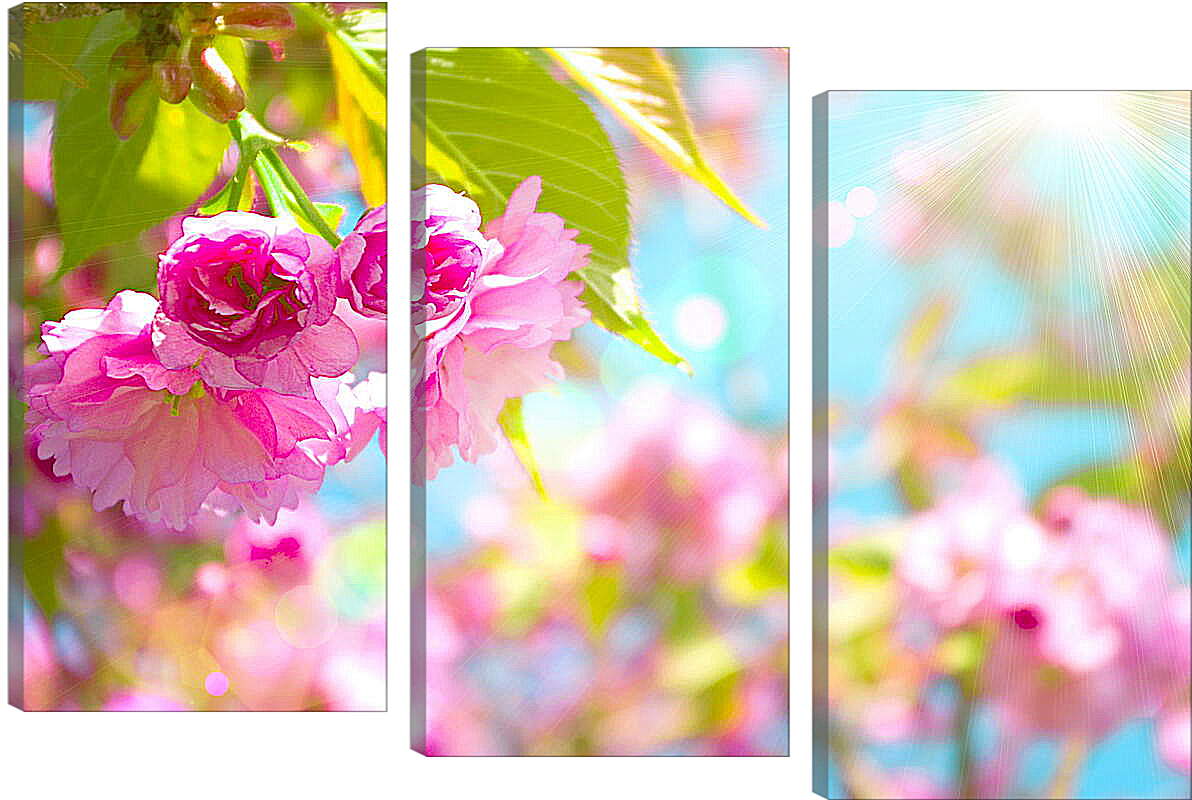 Модульная картина - Розовые цветы и солнце
