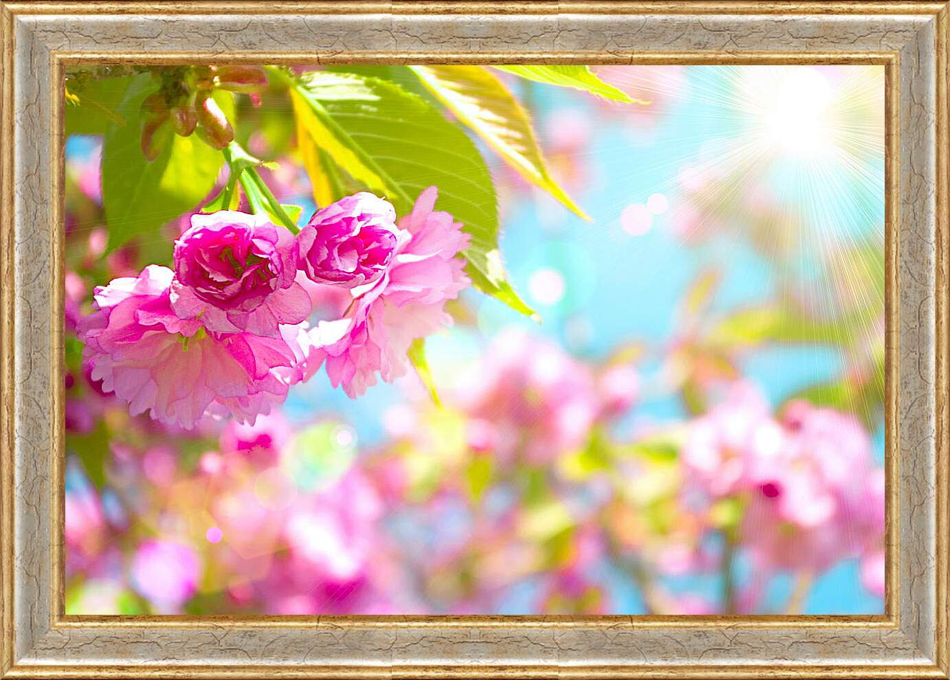 Картина в раме - Розовые цветы и солнце
