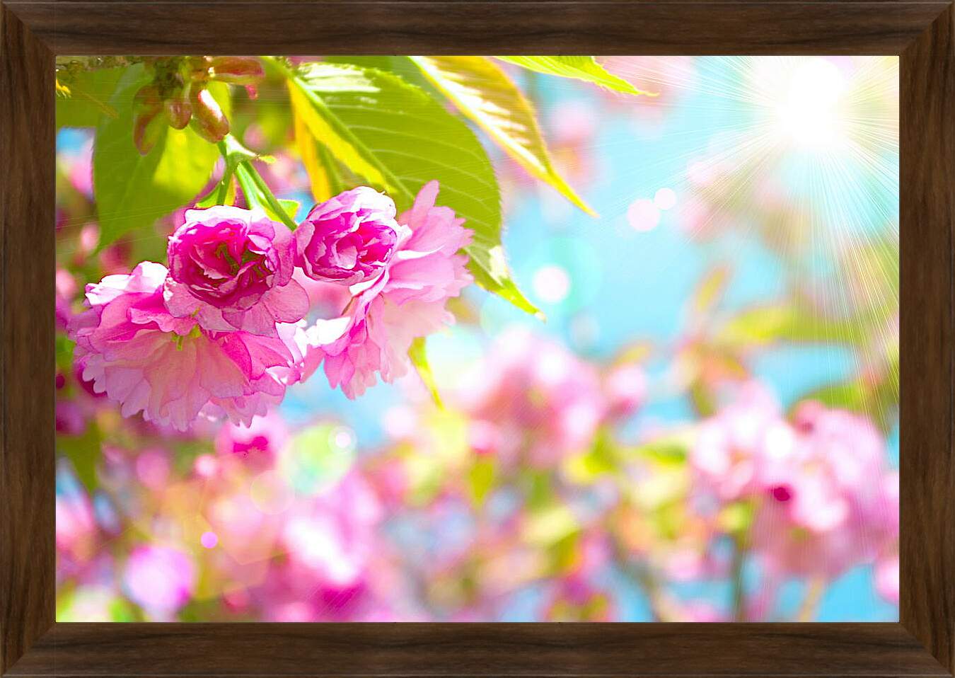 Картина в раме - Розовые цветы и солнце
