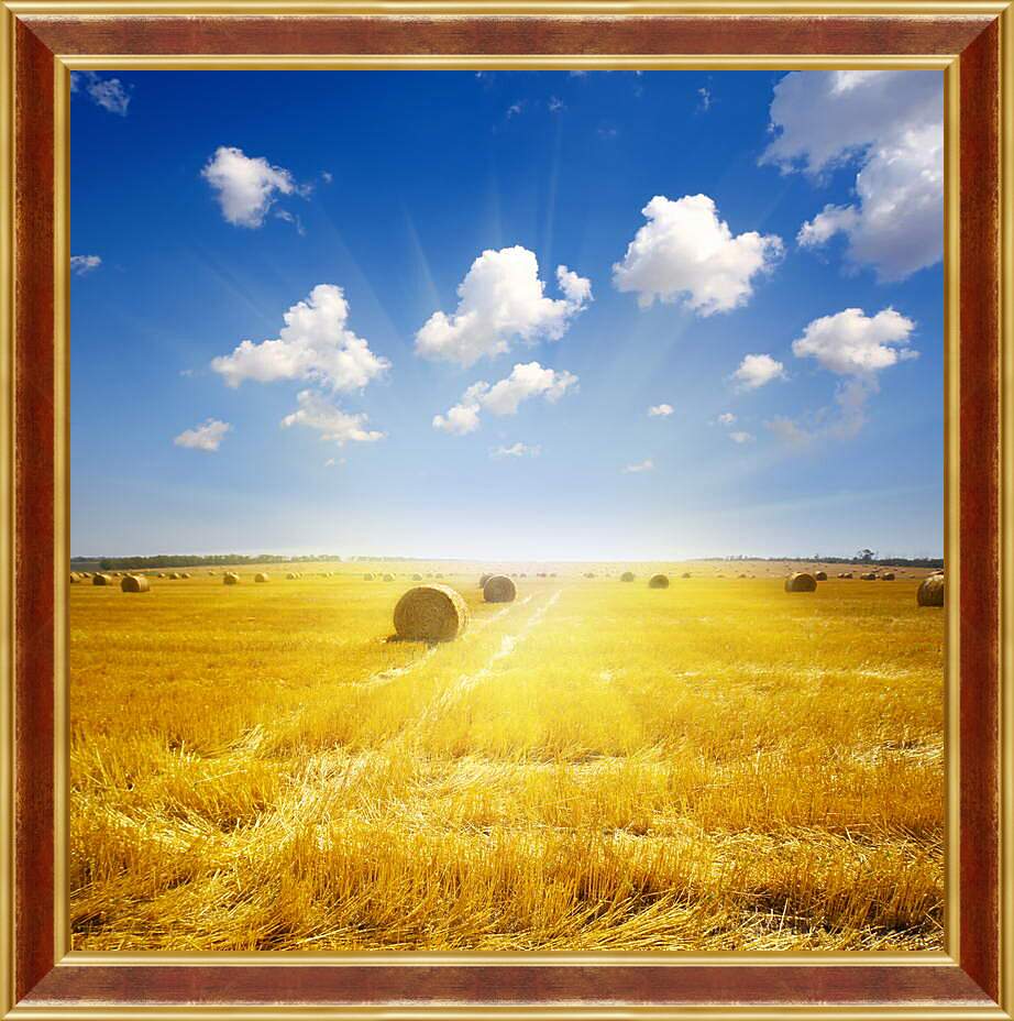 Картина в раме - Золотое поле солнце небо
