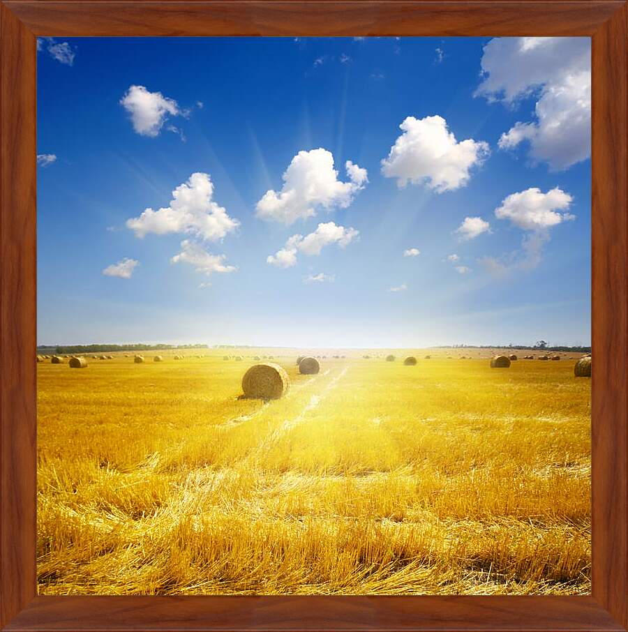 Картина в раме - Золотое поле солнце небо
