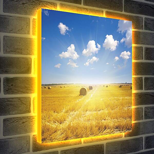 Лайтбокс световая панель - Золотое поле солнце небо
