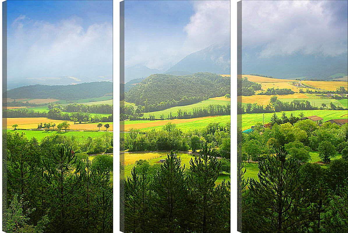 Модульная картина - Зеленая долина
