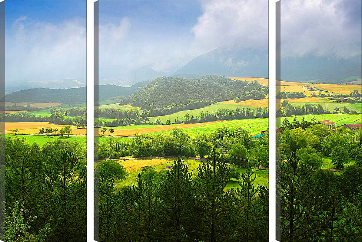 Модульная картина - Зеленая долина
