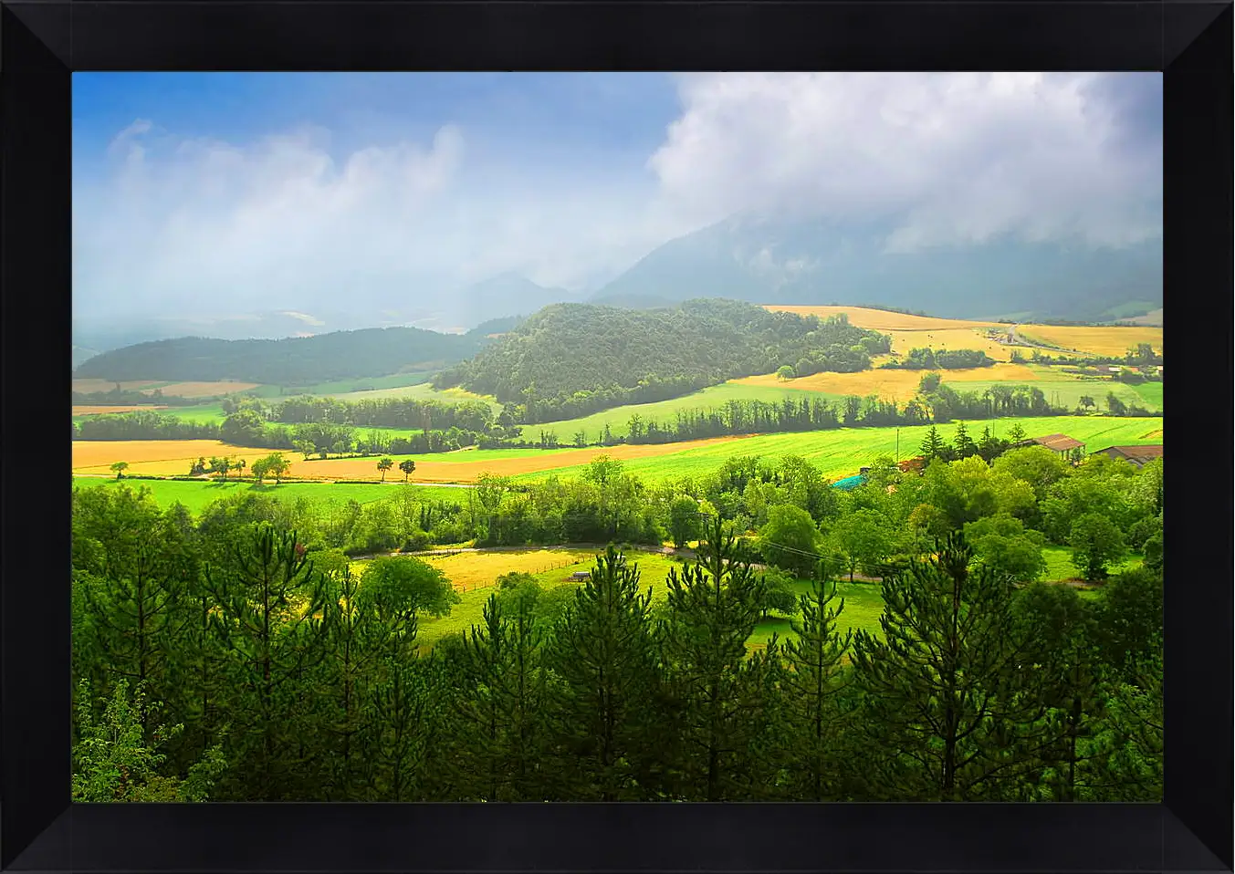 Картина в раме - Зеленая долина
