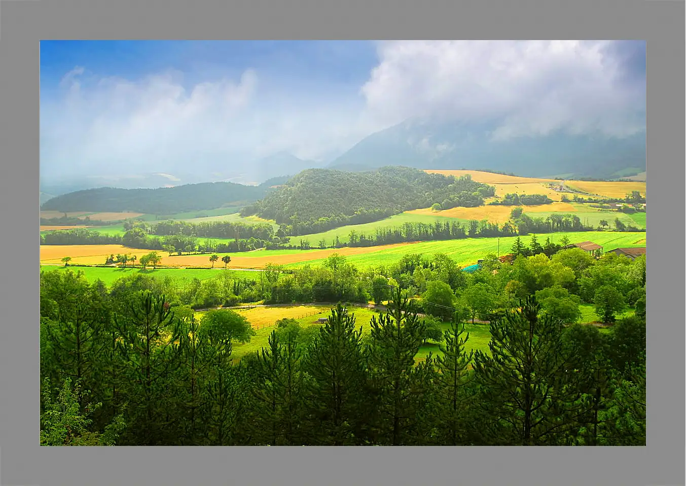 Картина в раме - Зеленая долина
